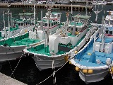 中田遊漁船イメージ